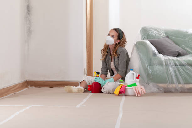 Reliable Basement Mold Removal contractor in Barclay, NJ by WQB Mold Removal
